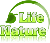 life nature